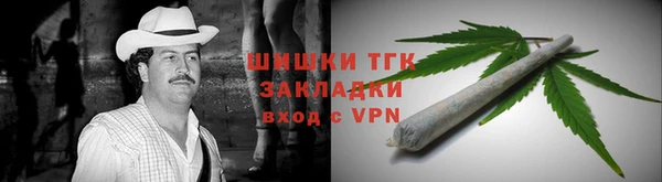 индика Гатчина