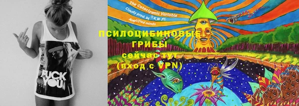 бошки Осинники