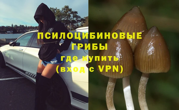 бошки Осинники