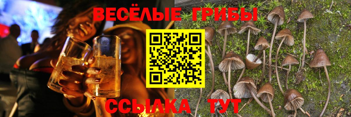 Псилоцибиновые грибы прущие грибы  Вход с VPN  Кудымкар 