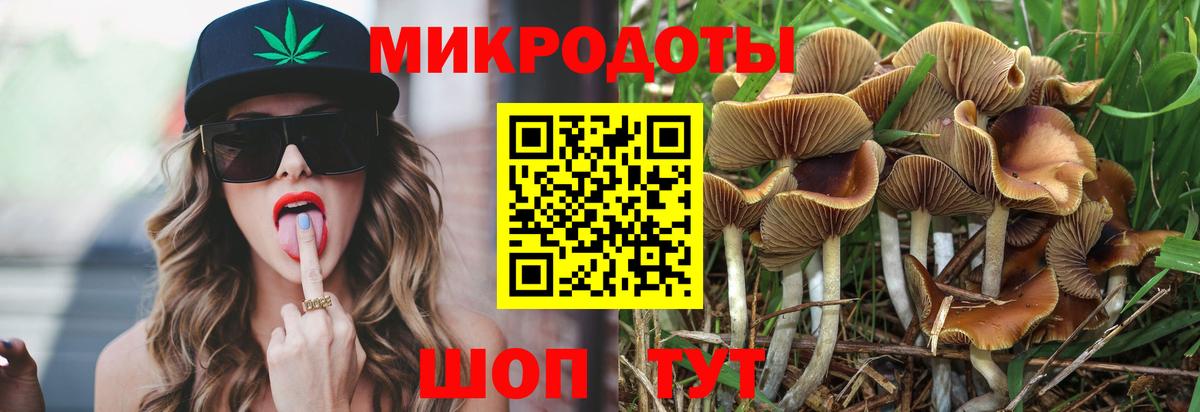 Галлюциногенные грибы MAGIC MUSHROOMS Кудымкар